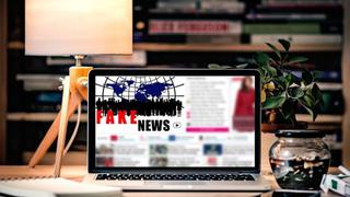 Al menos 30 países lanzan noticias falsas en Internet