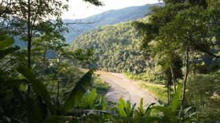 Conoce el Parque Nacional Bahuaja Sonene, uno de los paraísos amazónicos con mayor biodiversidad del mundo