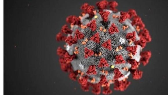 El Sars-cov-2 es el virus que causa covid-19. (GETTY IMAGES)