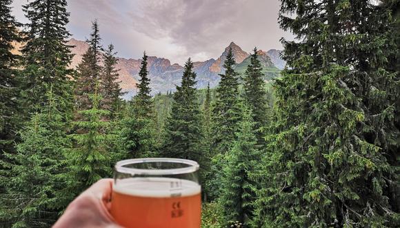 La marca cervecera ha realizado una plantación de un bosque de 8 hectáreas. (Foto referencial: Shutterstock)