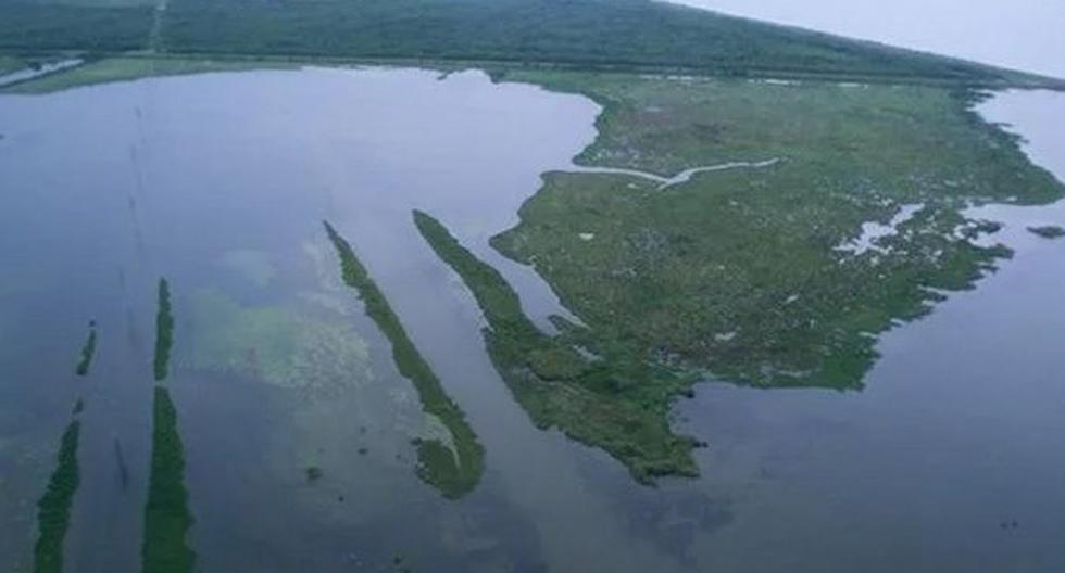 El Golfo de México cuenta desde hace años con zonas hipóxicas, es decir aquellas donde el agua carece del oxígeno suficiente como para que albergue vida. (Foto: EFE)
