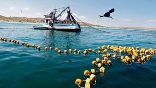 Punta Sal: pesca ilegal pone en riesgo a pescadores artesanales
