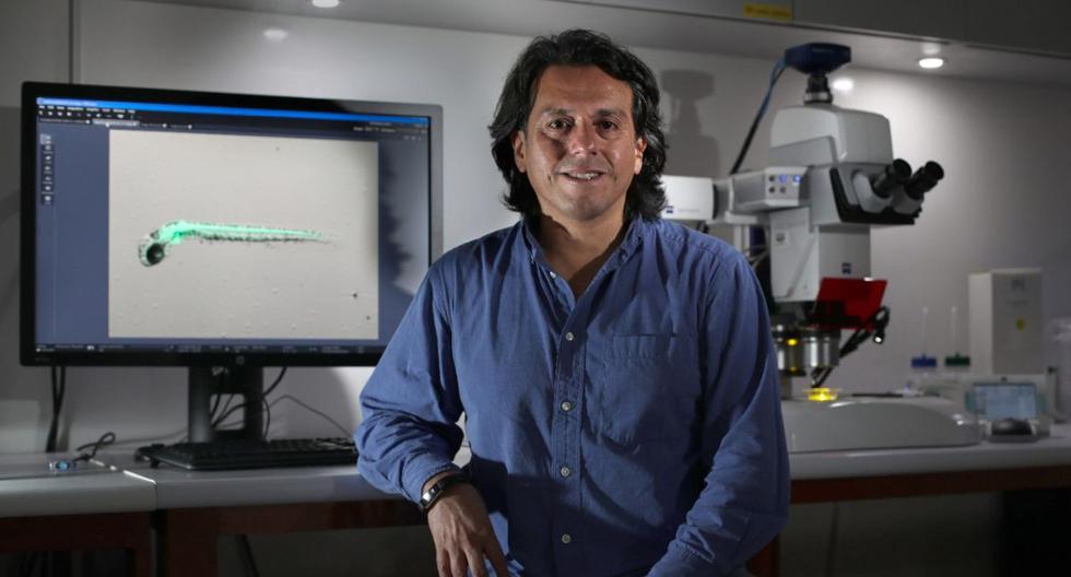 El doctor Edward Málaga Trillo considera que se pueden aprovechar los laboratorios de última generación de las universidades peruanas para realizar más diagnósticos de Covid-19. (Foto: Juan Ponce / El Comercio)