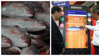 Produce podrá recibir denuncias de veda de pesca desde app MarPez