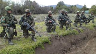 Día del Ejército Argentino: ¿cuál es su origen y por qué se celebra el 29 de mayo?