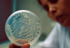 Auge de 'superbacterias' pone en peligro la medicina moderna