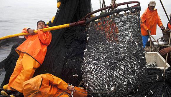 Pesca de anchoveta aumentaría en un 30% durante el 2015