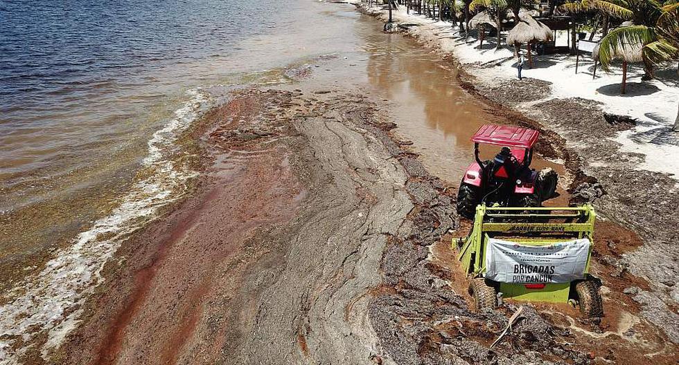 Vista general de los trabajos de limpieza del sargazo en playa Coral, en Cancún, en el estado de Quintana Roo (México). (Foto: EFE)