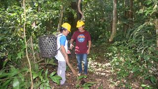 Madre de Dios: ¿qué hay detrás de los bonos de carbono que ayudan a los castañeros y al bosque?