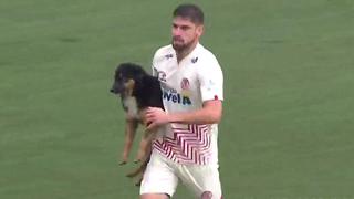 Un perrito se metió a la cancha durante el partido entre UTC y Sporting Cristal