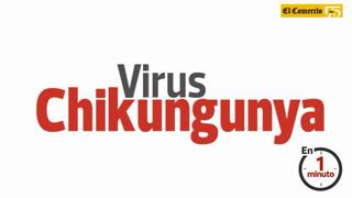 Chikungunya en Perú: ya hay seis casos confirmados