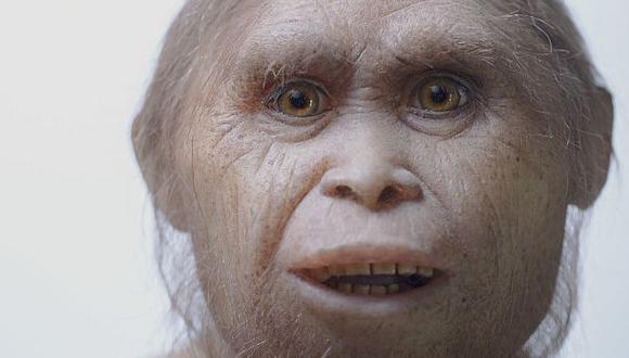 Representaci&oacute;n del &#039;Homo floresiensis&#039;, m&aacute;s conocido como el &#039;hobbit de Flores&#039;. (Foto: AP)