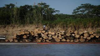 Ucayali: Contaminación pone en grave riesgo bosques y ríos de la región