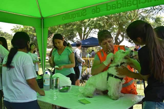 La Municipalidad de Surquillo reapertura este sábado 6 de julio la veterinaria municipal con una mega campaña gratuita para todas las mascotas. (Foto: Fundación Rayito)