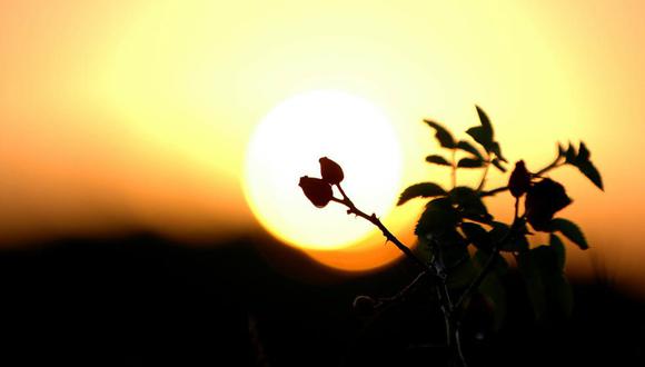 El solsticio de verano es un fenómeno astronómico que causa mucho interés. (Foto: Pixabay)
