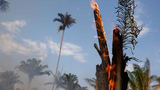 Incendio en el Amazonas: Colombia ofrece ayuda para combatir "tragedia ambiental"