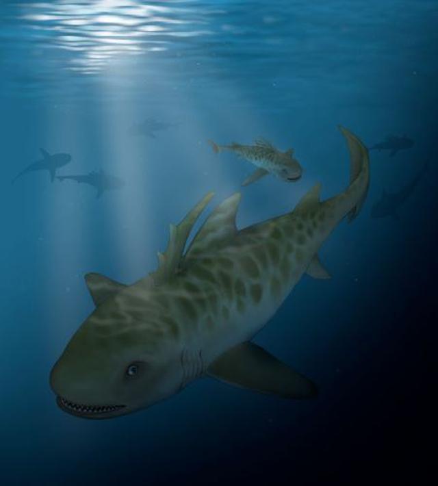 Lago Titicaca: hallan restos de un ancestro del tiburón de hace 400 millones de años (Foto: Andina)