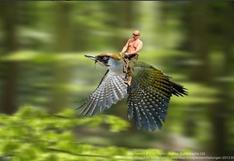 Vladimir Putin prohíbe los memes en Rusia enfurecido por burlas
