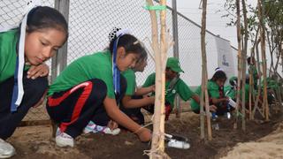Ventanilla: niños sembraron árboles en zona arqueológica