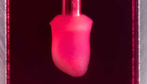 Estos "corazones en frascos" imitan el latido y comportamiento de los originales. (Foto: Novoheart)