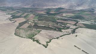 Caral, el Patrimonio Cultural que enfrenta un conflicto por la propiedad de sus tierras | INFORME