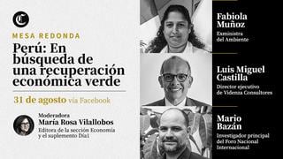 Coalición por la Economía Verde y El Comercio debatieron sobre recuperación económica verde