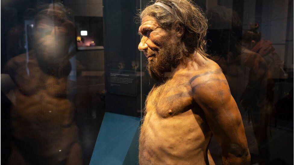 Scientists believe that it was not easy for Neanderthals and Homo sapiens to communicate as they were quite different.  (GETTY IMAGES).