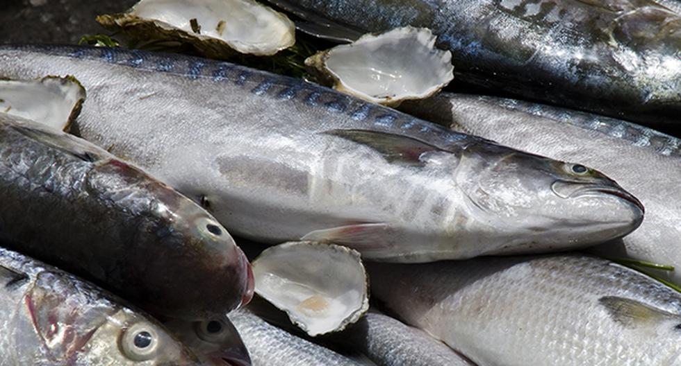 Conoce las características que debe tener un pescado fresco. (Foto: Pixabay)