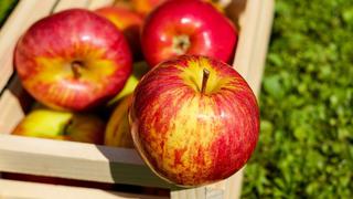 Se graba con un taladro, manzanas y pelador de papas y se convierte en una celebridad de las redes sociales