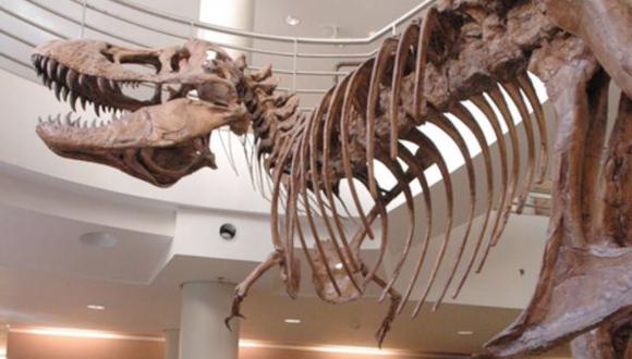 Un molde de tamaño natural de T. Rex en el atrio del Edificio de Ciencias de la Vida del Valle de UC Berkeley muestra cuán peculiarmente cortos eran los antebrazos del dinosaurio, dado que la criatura era el depredador más feroz de su época.
