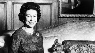 Tras la muerte de la reina Isabel II, el precio de los perros corgis rompe récords