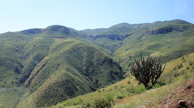 (Foto: Luis García Bendezú / El Comercio)