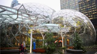 ¿Por qué Amazon construyó una selva tropical para sus empleados?