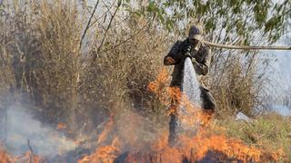 Amazonía brasileña sufre el peor foco de incendios forestales en 14 años