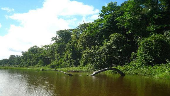 Tambopata es reconocida por su gran cantidad de fauna y flora. (Foto: Flickr)