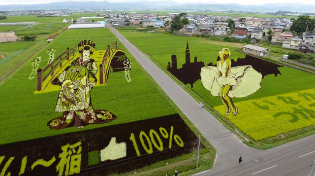 Sorpréndete con estos enormes dibujos hechos en campos de arroz - 8