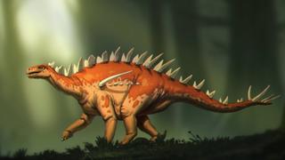Hallan una nueva especie de estegosaurio, uno de los dinosaurio más conocidos