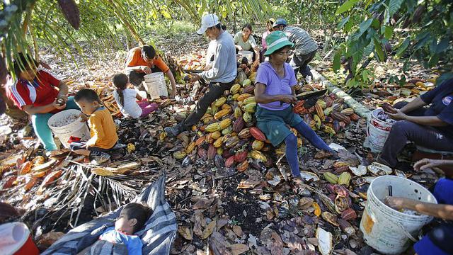 La otra cara del Vraem: las madres del cacao [FOTOS] - 9