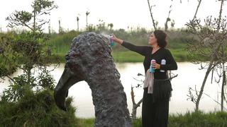 Los gallinazos de Cristina Planas toman los Pantanos de Villa