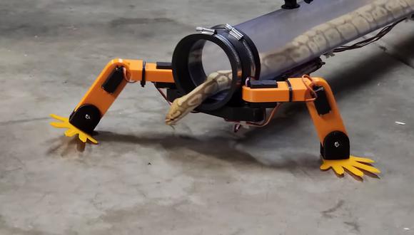 El YouTuber Allen Pan creó estas piernas robóticas para una serpiente. | (Foto: Allen Pan/YouTube/Captura de pantalla)