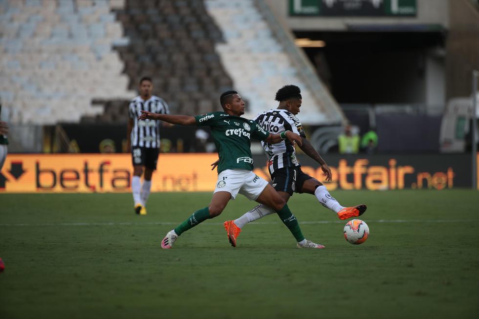 Palmeiras disputó la final de la Copa Libertadores frente al Santos