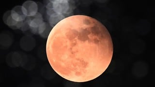 Fecha y horario para ver el eclipse lunar de mayo 2023