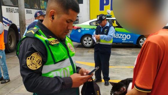Miraflores aplica multa de cerca de 5 mil soles a José Jesús Obregón Nicolás, quien intentó abandonar un gato en el parque Kennedy.