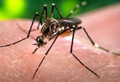 Zika: Minsa descarta legalizar el aborto como solución