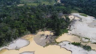 Madre de Dios: deforestación por minería ilegal crece en el Pariamanu y ya supera las 200 hectáreas
