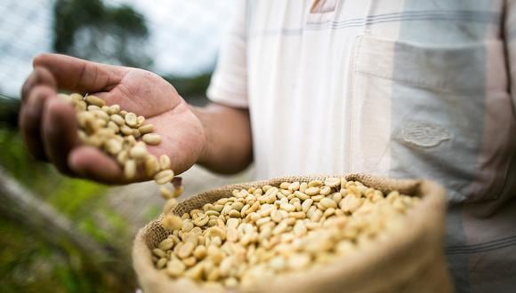 El café que resulte ganador de Taza de Excelencia Perú 2020 participará de la subasta electrónica global el 3 de diciembre, donde los productores obtienen muy buenos precios por quintal.  (Foto: archivo GEC)