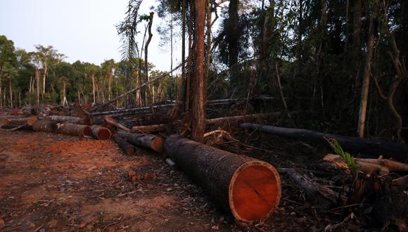 La adscripción del Osinfor al Ministerio del Ambiente busca combatir la tala ilegal, sostuvo el ministro Raúl Pérez-Reyes. (Foto: GEC)