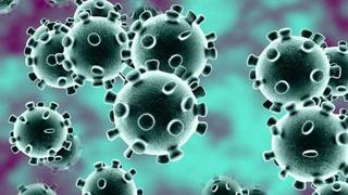 COVID-19: ¿cuáles son las características del nuevo coronavirus?