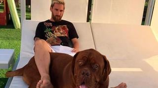 ¿Dónde está Hulk, el gigantesco perro de Lionel Messi?