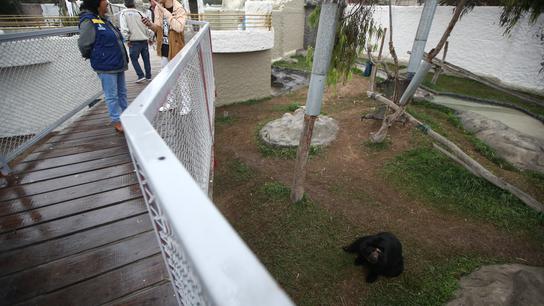 El nuevo Parque de las Leyendas en Huachipa